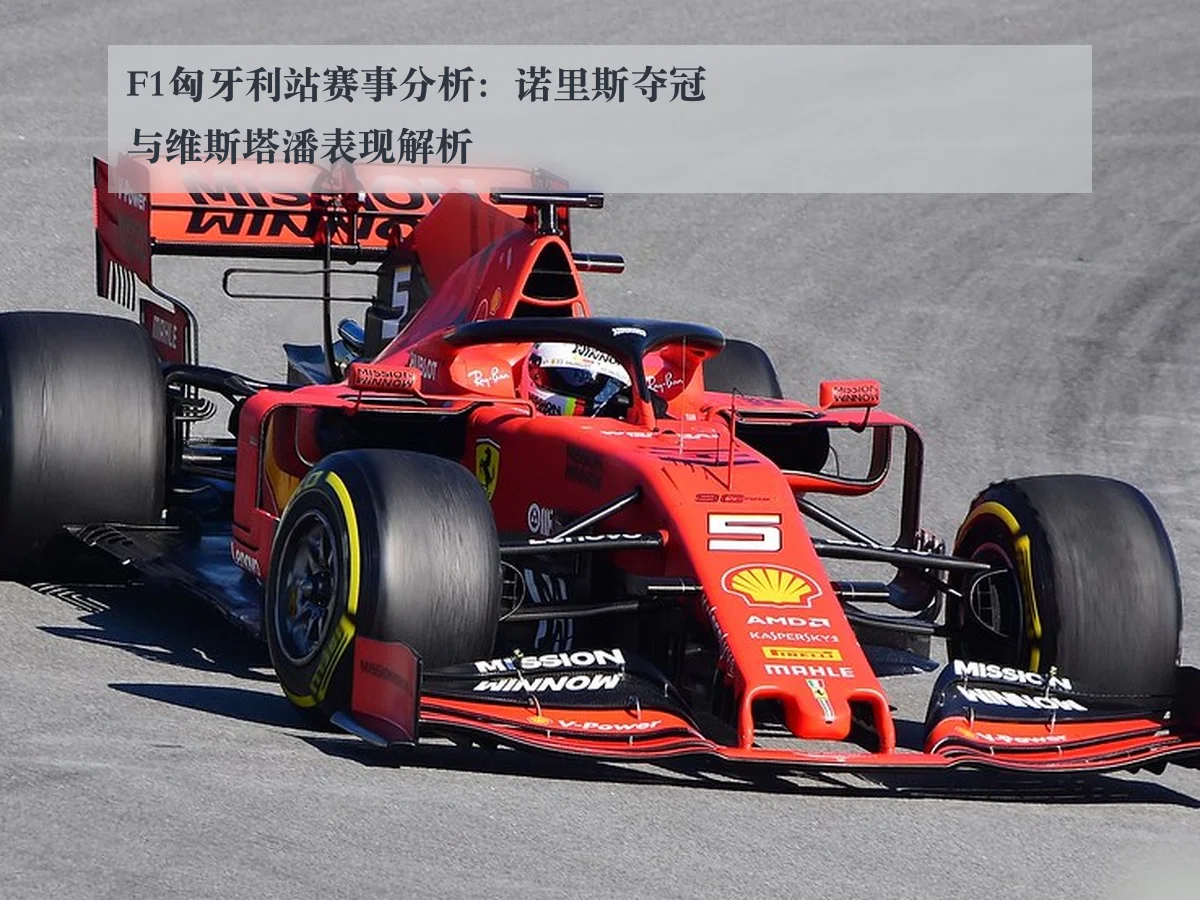 F1匈牙利站赛事分析：诺里斯夺冠与维斯塔潘表现解析