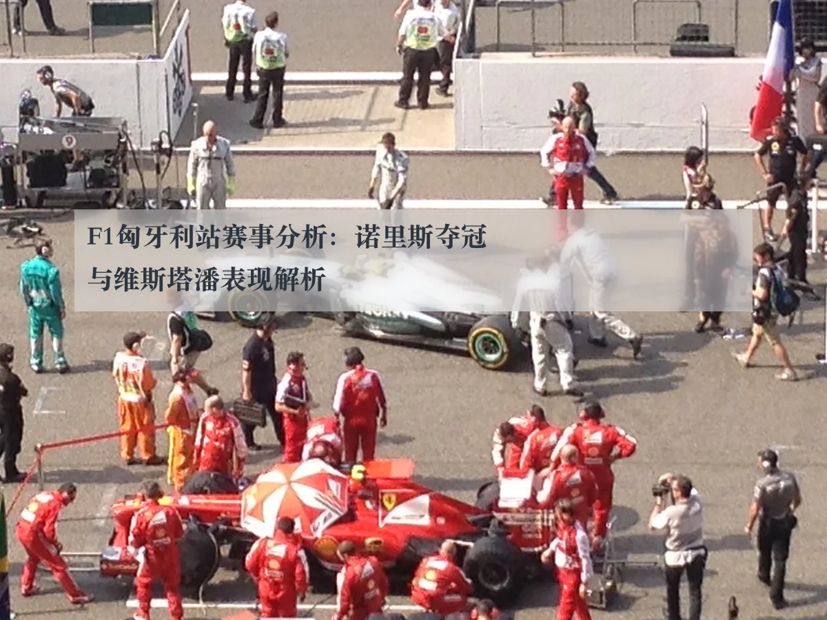 F1匈牙利站赛事分析：诺里斯夺冠与维斯塔潘表现解析
