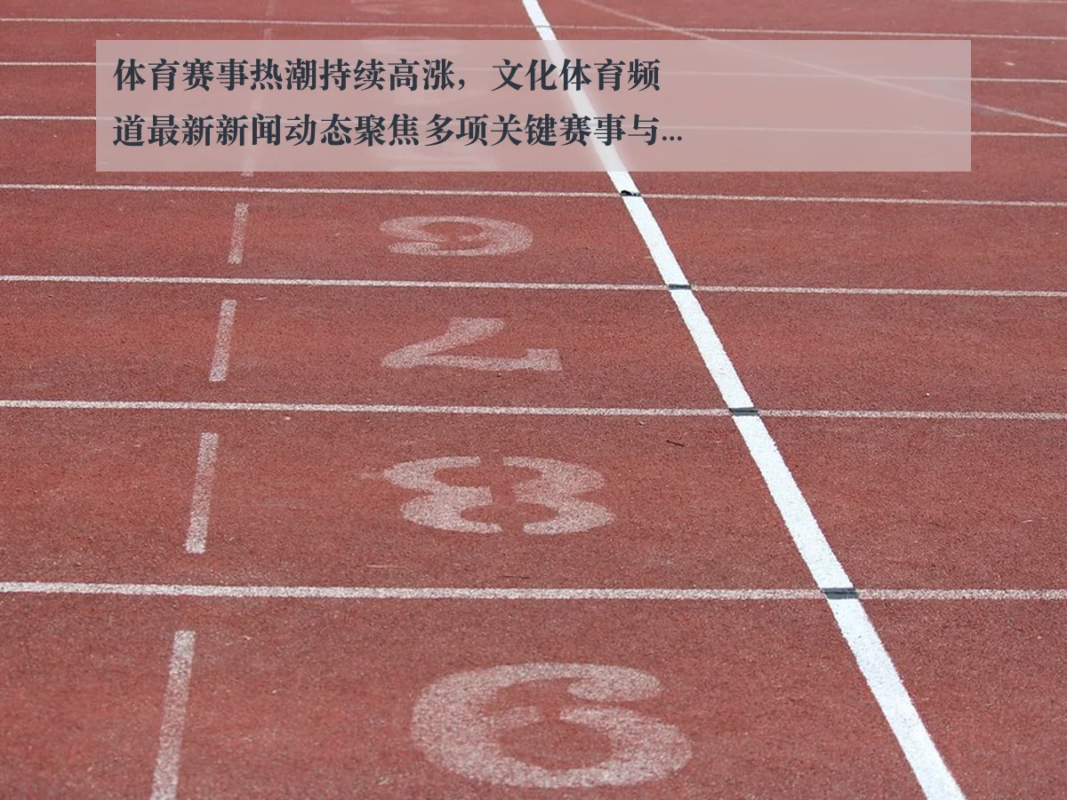 体育赛事热潮持续高涨，文化体育频道最新新闻动态聚焦多项关键赛事与运动员表现